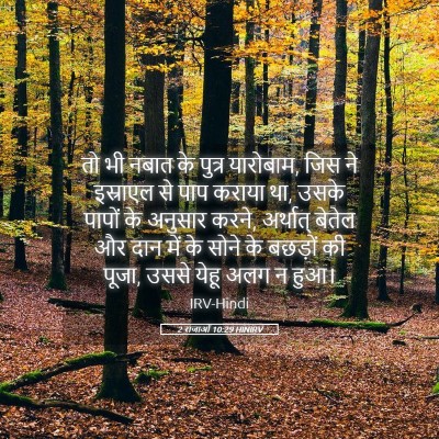 Picture 05 - 2 राजाओं 10:29 HINIRV - तो भी नबात के पुत्र - Bible Verse Picture
