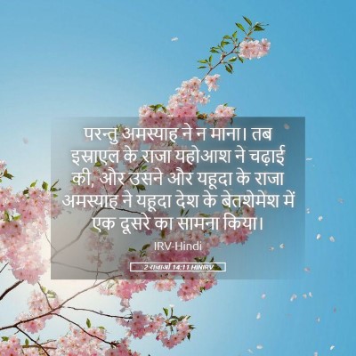 Picture 05 - 2 राजाओं 14:11 HINIRV - परन्तु अमस्याह ने - Bible Verse Picture