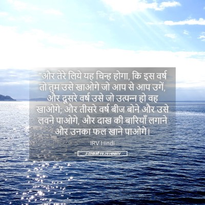 Picture 05 - 2 राजाओं 19:29 HINIRV - “और तेरे लिये यह - Bible Verse Picture