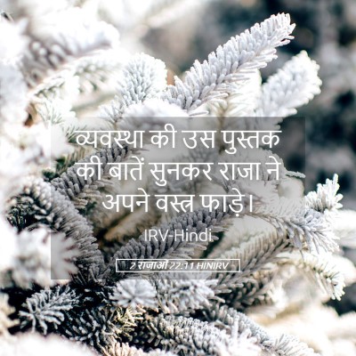 Picture 05 - 2 राजाओं 22:11 HINIRV - व्यवस्था की उस - Bible Verse Picture