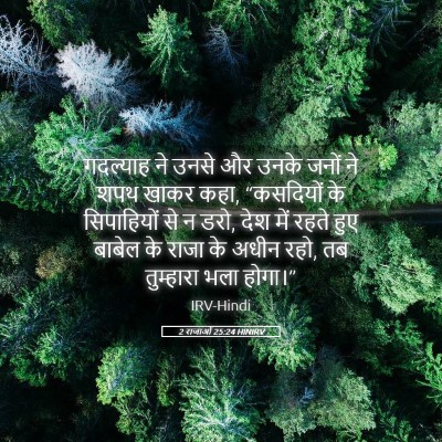 Picture 05 - 2 राजाओं 25:24 HINIRV - गदल्याह ने उनसे और - Bible Verse Picture
