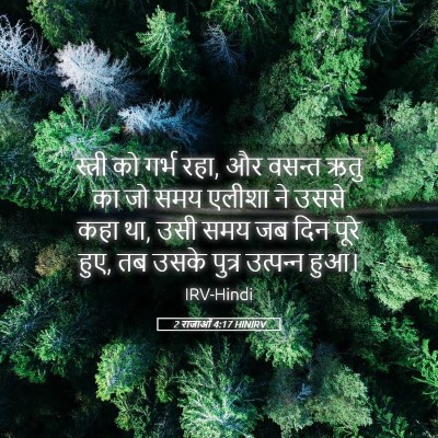 Picture 05 - 2 राजाओं 4:17 HINIRV - स्त्री को गर्भ रहा, - Bible Verse Picture