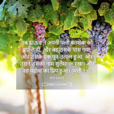 Picture 05 - 2 शमूएल 12:24 HINIRV - तब दाऊद ने अपनी - Bible Verse Picture
