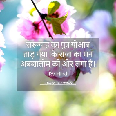 Picture 05 - 2 शमूएल 14:1 HINIRV - सरूयाह का पुत्र - Bible Verse Picture