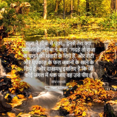 Picture 05 - 2 शमूएल 16:2 HINIRV - राजा ने सीबा से - Bible Verse Picture