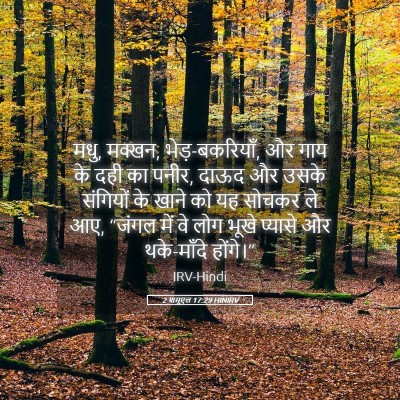 Picture 05 - 2 शमूएल 17:29 HINIRV - मधु, मक्खन, - Bible Verse Picture