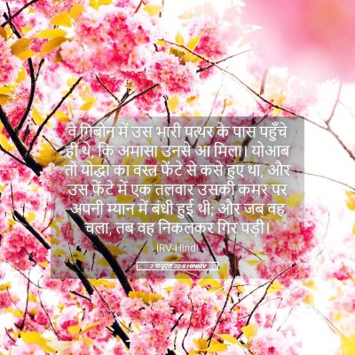 Picture 05 - 2 शमूएल 20:8 HINIRV - वे गिबोन में उस - Bible Verse Picture