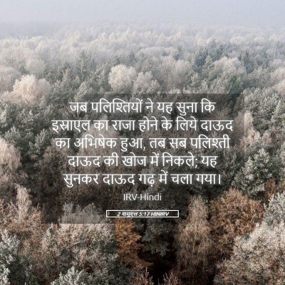 Picture 05 - 2 शमूएल 5:17 HINIRV - जब पलिश्तियों ने - Bible Verse Picture