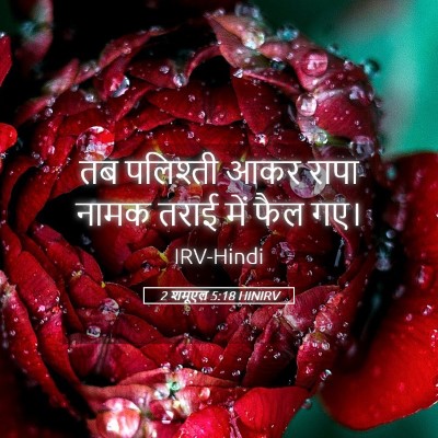 Picture 05 - 2 शमूएल 5:18 HINIRV - तब पलिश्ती आकर - Bible Verse Picture