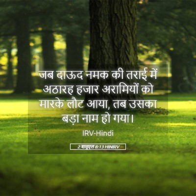Picture 05 - 2 शमूएल 8:13 HINIRV - जब दाऊद नमक की तराई - Bible Verse Picture