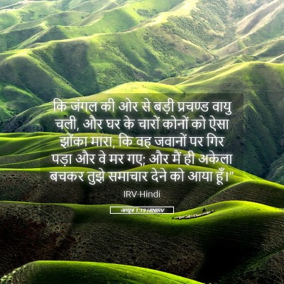 Picture 05 - अय्यूब 1:19 HINIRV - कि जंगल की ओर से - Bible Verse Picture