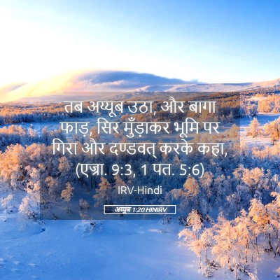 Picture 05 - अय्यूब 1:20 HINIRV - तब अय्यूब उठा, और - Bible Verse Picture