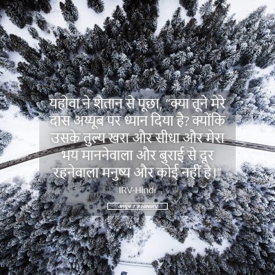 Picture 05 - अय्यूब 1:8 HINIRV - यहोवा ने शैतान से - Bible Verse Picture