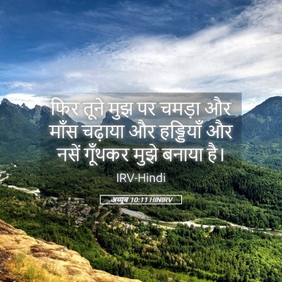 Picture 05 - अय्यूब 10:11 HINIRV - फिर तूने मुझ पर - Bible Verse Picture