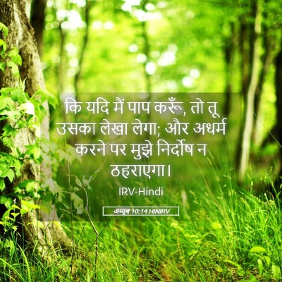 Picture 05 - अय्यूब 10:14 HINIRV - कि यदि मैं पाप - Bible Verse Picture