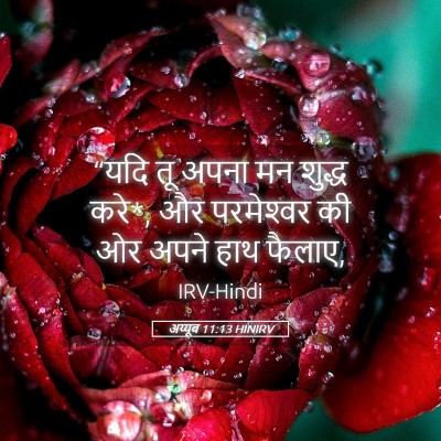 Picture 05 - अय्यूब 11:13 HINIRV - “यदि तू अपना मन - Bible Verse Picture