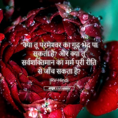 Picture 05 - अय्यूब 11:7 HINIRV - “क्या तू - Bible Verse Picture