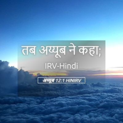 Picture 05 - अय्यूब 12:1 HINIRV - तब अय्यूब ने - Bible Verse Picture