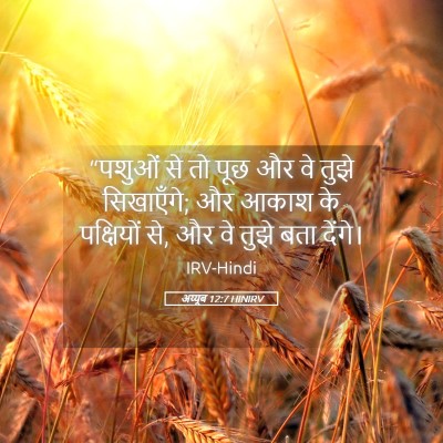 Picture 05 - अय्यूब 12:7 HINIRV - “पशुओं से तो पूछ और - Bible Verse Picture