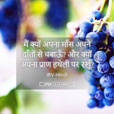 Picture 05 - अय्यूब 13:14 HINIRV - मैं क्यों अपना - Bible Verse Picture