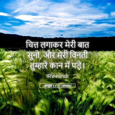 Picture 05 - अय्यूब 13:17 HINIRV - चित्त लगाकर मेरी - Bible Verse Picture