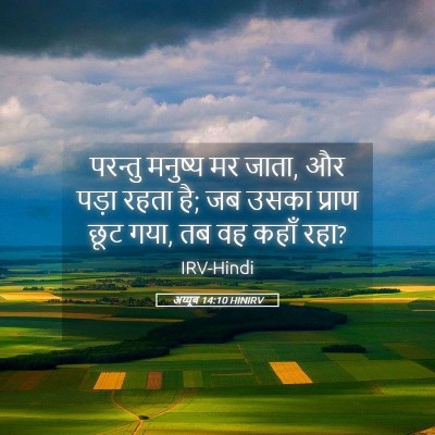 Picture 05 - अय्यूब 14:10 HINIRV - परन्तु मनुष्य मर - Bible Verse Picture