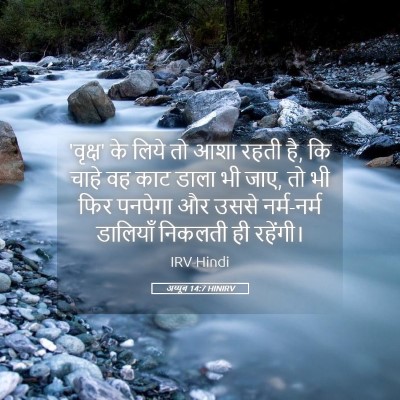 Picture 05 - अय्यूब 14:7 HINIRV - 'वृक्ष' के लिये तो - Bible Verse Picture