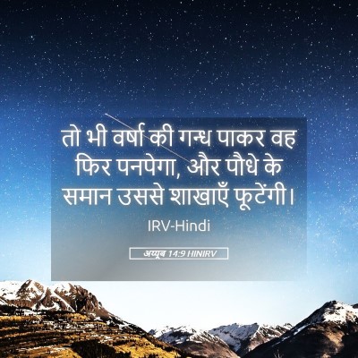 Picture 05 - अय्यूब 14:9 HINIRV - तो भी वर्षा की गन्ध - Bible Verse Picture