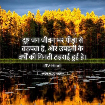 Picture 05 - अय्यूब 15:20 HINIRV - दुष्ट जन जीवन भर - Bible Verse Picture