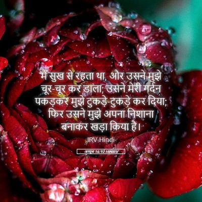 Picture 05 - अय्यूब 16:12 HINIRV - मैं सुख से रहता था, - Bible Verse Picture