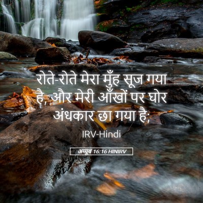 Picture 05 - अय्यूब 16:16 HINIRV - रोते-रोते मेरा - Bible Verse Picture