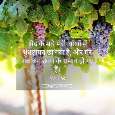 Picture 05 - अय्यूब 17:7 HINIRV - खेद के मारे मेरी - Bible Verse Picture
