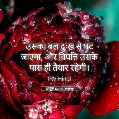 Picture 05 - अय्यूब 18:12 HINIRV - उसका बल दुःख से घट - Bible Verse Picture