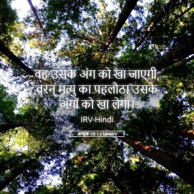 Picture 05 - अय्यूब 18:13 HINIRV - वह उसके अंग को खा - Bible Verse Picture