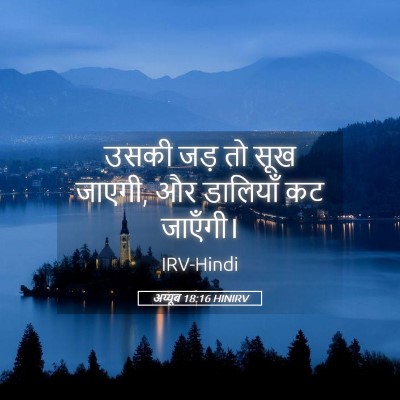 Picture 05 - अय्यूब 18:16 HINIRV - उसकी जड़ तो सूख - Bible Verse Picture