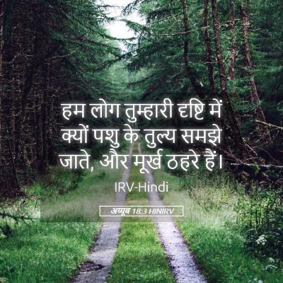 Picture 05 - अय्यूब 18:3 HINIRV - हम लोग तुम्हारी - Bible Verse Picture