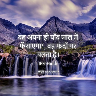 Picture 05 - अय्यूब 18:8 HINIRV - वह अपना ही पाँव जाल - Bible Verse Picture