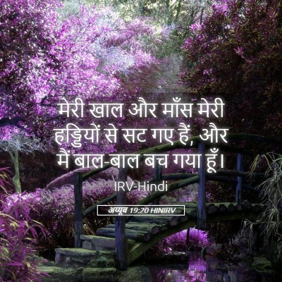 Picture 05 - अय्यूब 19:20 HINIRV - मेरी खाल और माँस - Bible Verse Picture