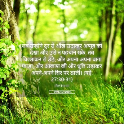 Picture 05 - अय्यूब 2:12 HINIRV - जब उन्होंने दूर से - Bible Verse Picture