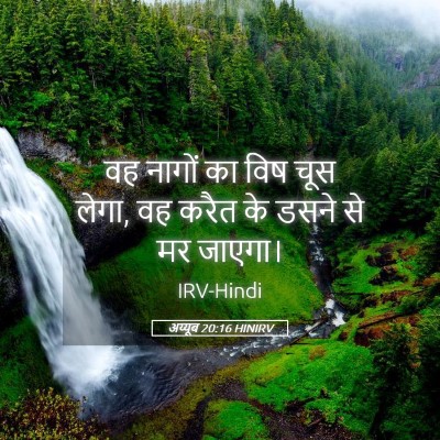 Picture 05 - अय्यूब 20:16 HINIRV - वह नागों का विष चूस - Bible Verse Picture