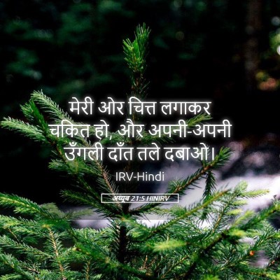 Picture 05 - अय्यूब 21:5 HINIRV - मेरी ओर चित्त - Bible Verse Picture