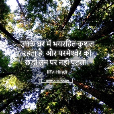 Picture 05 - अय्यूब 21:9 HINIRV - उनके घर में भयरहित - Bible Verse Picture