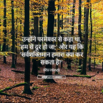 Picture 05 - अय्यूब 22:17 HINIRV - उन्होंने - Bible Verse Picture