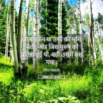 Picture 05 - अय्यूब 22:8 HINIRV - जो बलवान था उसी को - Bible Verse Picture