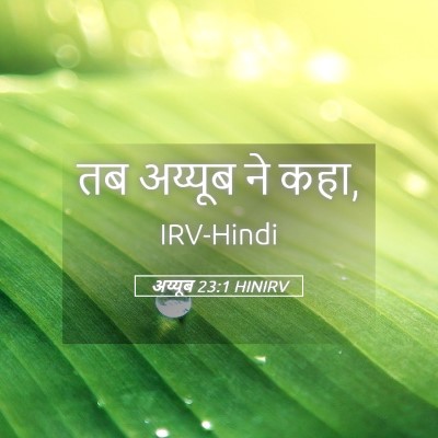 Picture 05 - अय्यूब 23:1 HINIRV - तब अय्यूब ने - Bible Verse Picture