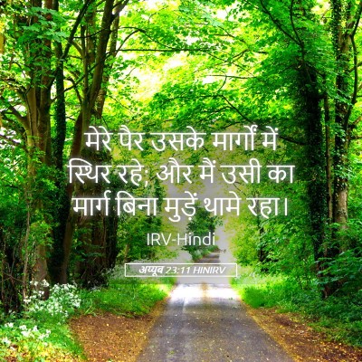 Picture 05 - अय्यूब 23:11 HINIRV - मेरे पैर उसके - Bible Verse Picture