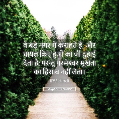 Picture 05 - अय्यूब 24:12 HINIRV - वे बड़े नगर में - Bible Verse Picture