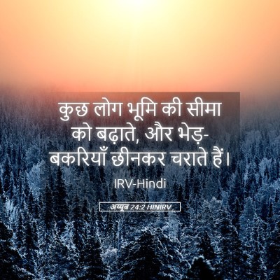 Picture 05 - अय्यूब 24:2 HINIRV - कुछ लोग भूमि की - Bible Verse Picture