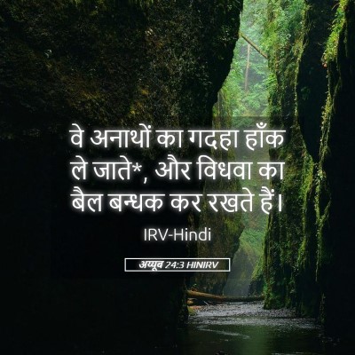 Picture 05 - अय्यूब 24:3 HINIRV - वे अनाथों का गदहा - Bible Verse Picture
