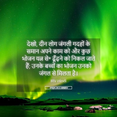 Picture 05 - अय्यूब 24:5 HINIRV - देखो, दीन लोग जंगली - Bible Verse Picture